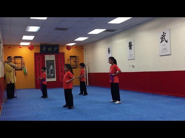 Shaolin Kids Kung Fu