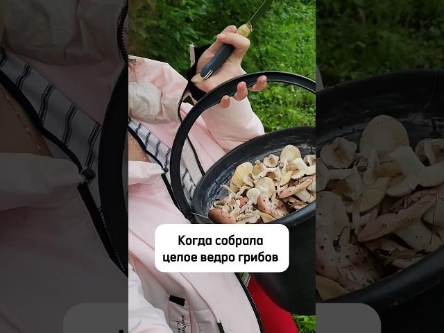 Жиза  #блогер #юмор #отпуск #любовь #топ #albinamysh  #прикол #грибы