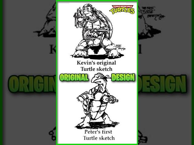 The Original Ninja Turtle Designs