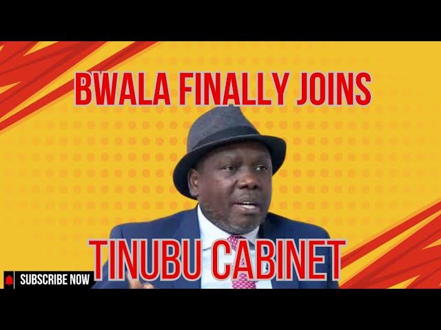 #ovevekuve BWALA DON GET TINUBU APPOINTMENT, THE HUSTLE DON PAY OFF