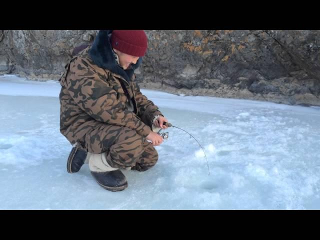 Ice fishing in Mongolia Siberian trout by Frabill(ӨВЛИЙН ЗАГАСЧЛАЛ)