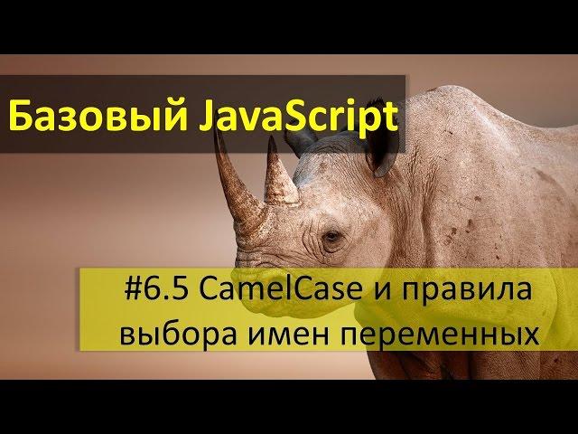 Простые правила выбора имени JavaScript переменной  CamelCase или верблюжья нотация