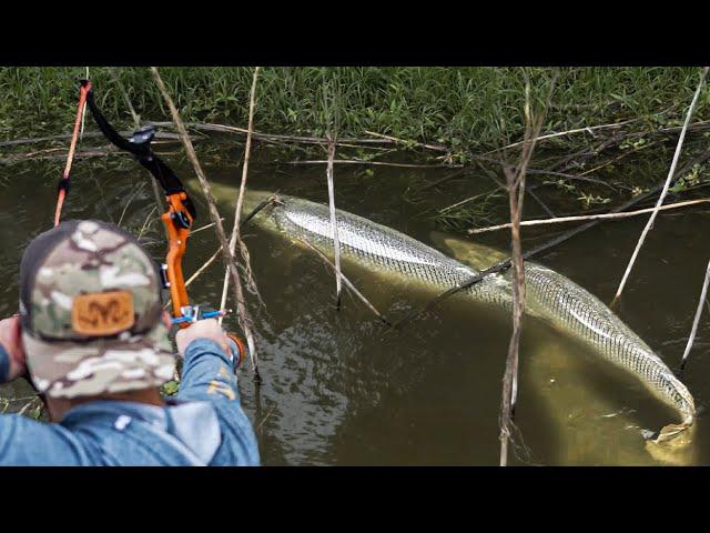 Bowfishing for Giant Gator Gar| We shoot a 7+ foot  RIVER MONSTER!!!