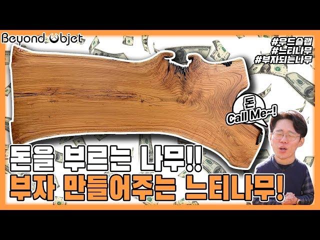 부자 되는 나무! 돈을 부르는 느티나무 우드슬랩! Zelkova wood slabㅣ원목 회의용 사무용 테이블 우드슬랩의 모든것!ㅣ[비욘드오브제] 박팀장은 오늘도! ep.12