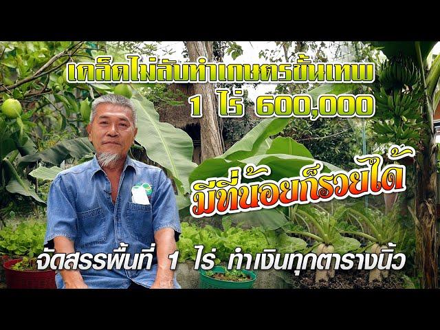 จัดสรรพื้นที่ 1 ไร่ ทำเงินทุกตารางนิ้ว #เกษตรอารมณ์ดี