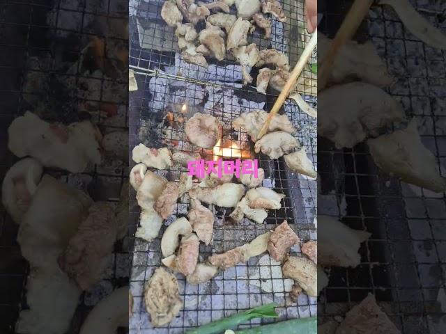 #수아커피 #수아방송 #사랑아어딜가니