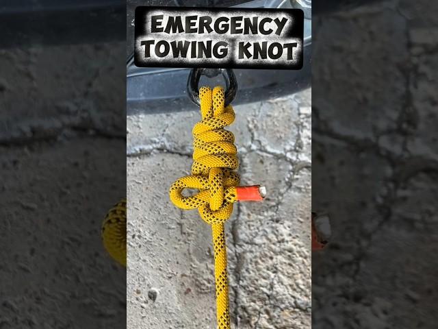 Every Driver Needs to Know THIS Knot #rope #technique #knowledge