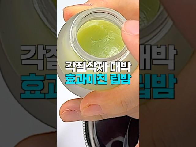 무.조.건. 사야할 입술 각질 제거 미친템보습력 미친 립밤 추천