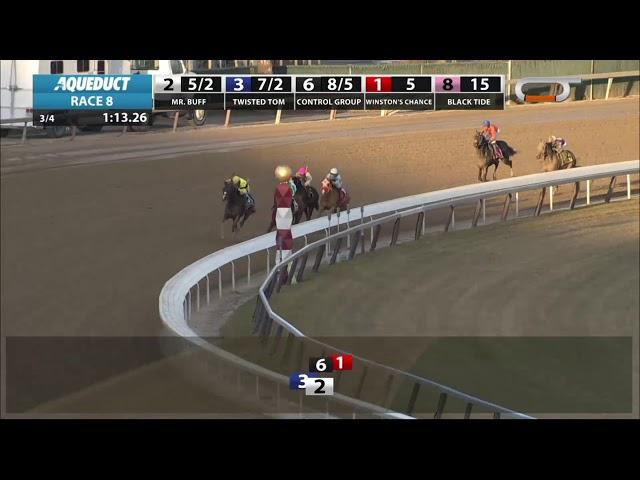 Mr. Buff - 2018 - The Alex M. Robb Stakes