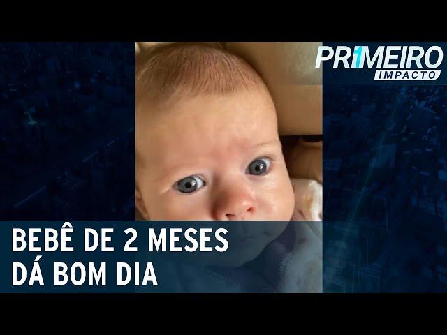 Bebê de 2 meses viraliza na internet ao falar "Bom dia" | Primeiro Impacto (11/01/22)