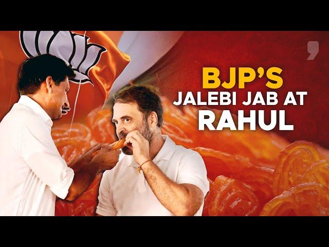 Why is the BJP trolling Rahul Gandhi over jalebis? | News9 Plus Decodes