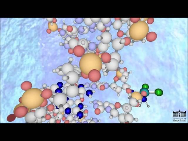 The Mechanism of Cisplatin (New -HD)