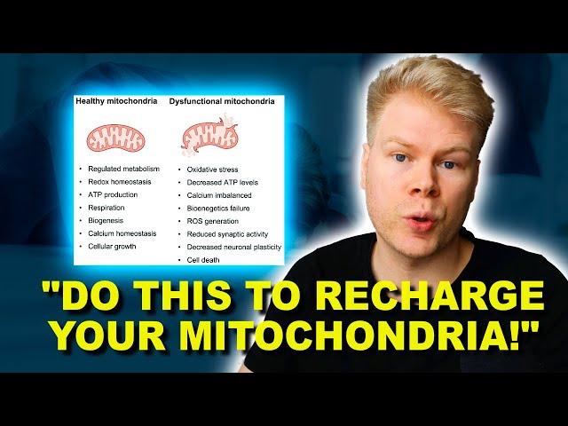 How To Fix Mitochondrial Dysfunction: Symptoms, Treatment & Supplements