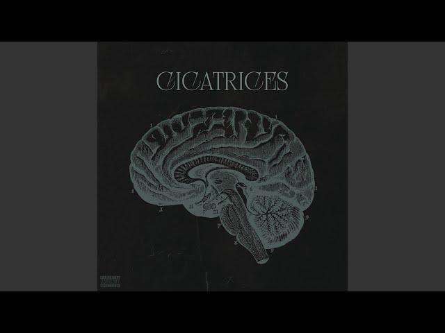 Cicatrices