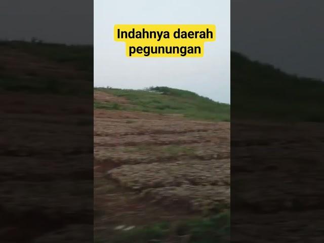 suasana daerah pegunungan REJOSARI KUDUS