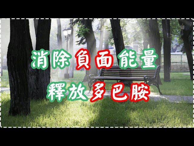 輕音樂 幫助減壓 消除負面能量 釋放多巴胺 入眠、放鬆、舒緩、休息【1小時】 Relaxing Music, Soothing Music