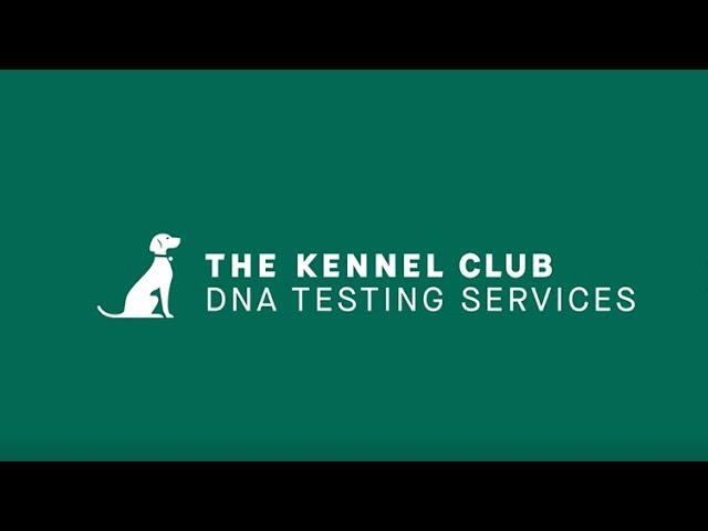 The Kennel Club DNA Testing Services