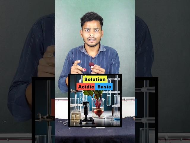 चुकंदर(Beetroot) से ‍पता करें - Acidic & Basic solution|#beetroot#experiment#shorts#video