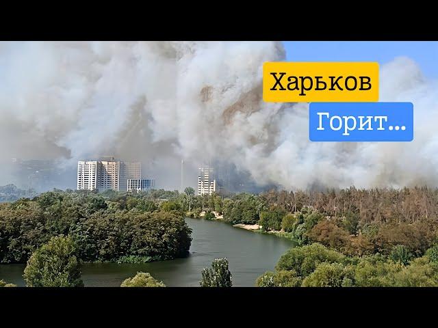 Kharkiv today...There is nothing to breathe! The city is covered with smoke...