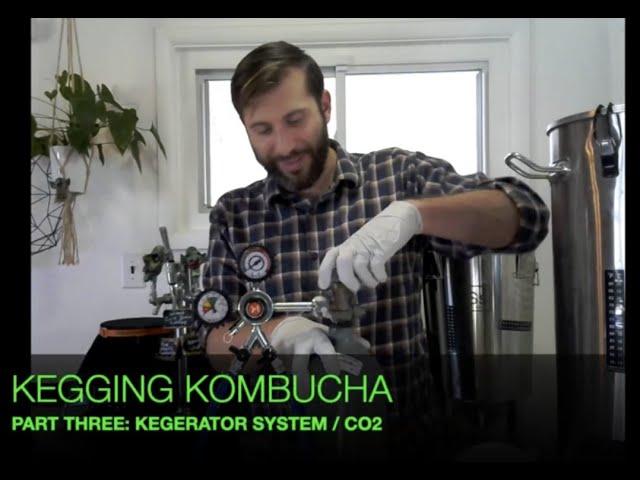 Kegging Kombucha | Part Three: Kegerator System / CO2