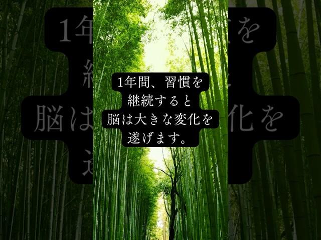 1年間、習慣を継続すると脳は大きな変化を遂げます。 #継続 #成功者の習慣#モチベーション上げ方 #言葉の力 #マインドセットを変える #ポジティブ思想 #パレート法則 #自己成長 #信頼感