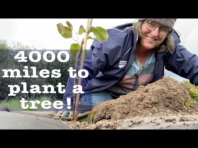 Planting Memories (and trees) with Liz Zorab in Byther Farm's Food Forest