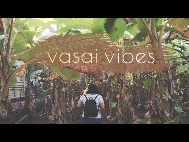 VASAI VIBES - Christmas in Vasai | Homemade Pork Vindaloo