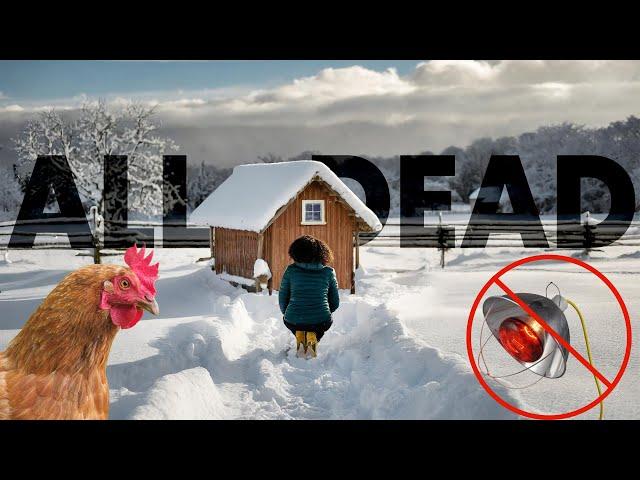 3 Reasons to NEVER Heat a Chicken Coop