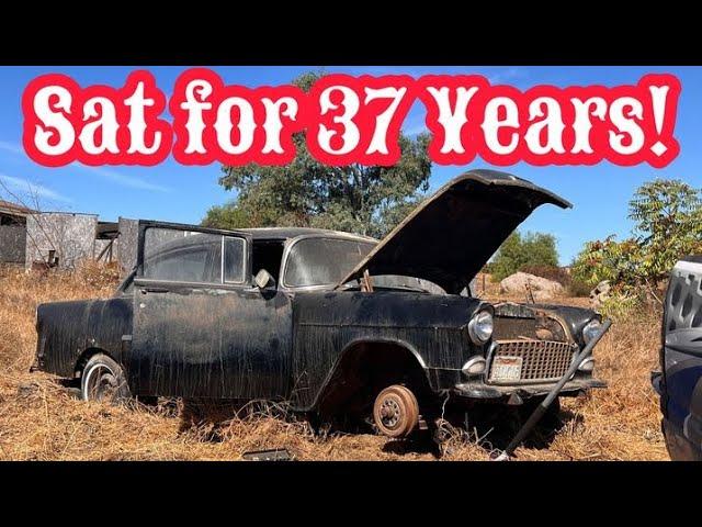 ABANDONED 1955 Chevrolet RESCUED After 37 Years