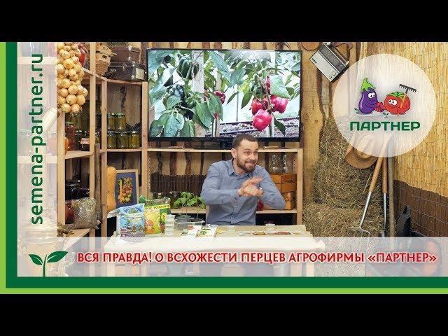 ВСЯ ПРАВДА О ВСХОЖЕСТИ ПЕРЦЕВ АГРОФИРМЫ ПАРТНЕР