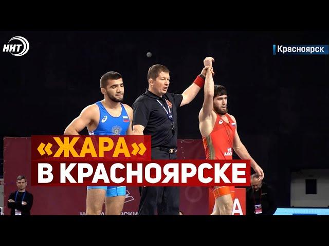 Трое дагестанцев вышли в финал Кубка Ивана Ярыгина в Красноярске