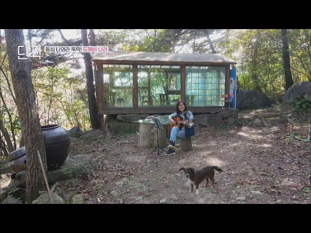 알록달록 단풍으로 물든 숲속에서 열린 둘만의 콘서트 [동물극장 단짝] | KBS 221119 방송