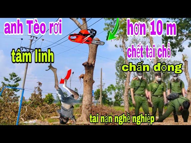 chấn động cưa cây rơi độ cao hơn 10 m anh tèo 36 tuổi ra đi mãi mãi ch ết tại chỗ ớn lạnh nổi da gà