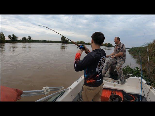 Pesca , cocina y aventuras en la Isla , arroyo Los Laureles , lugar increíble