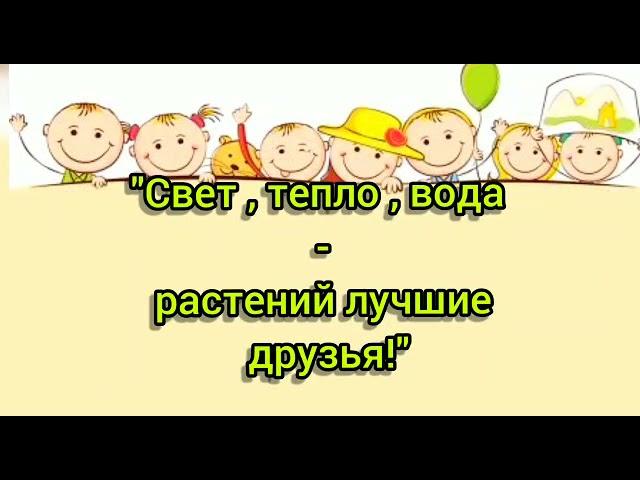 Проект " Свет, тепло, вода- растений лучшие друзья. "