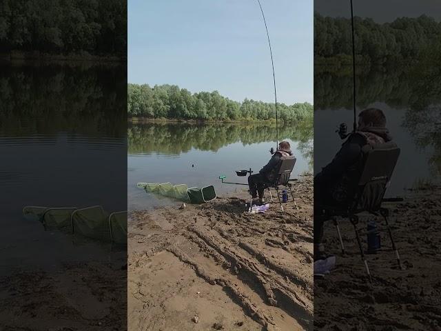 фидерная рыбалка в мае. лещ , калина.