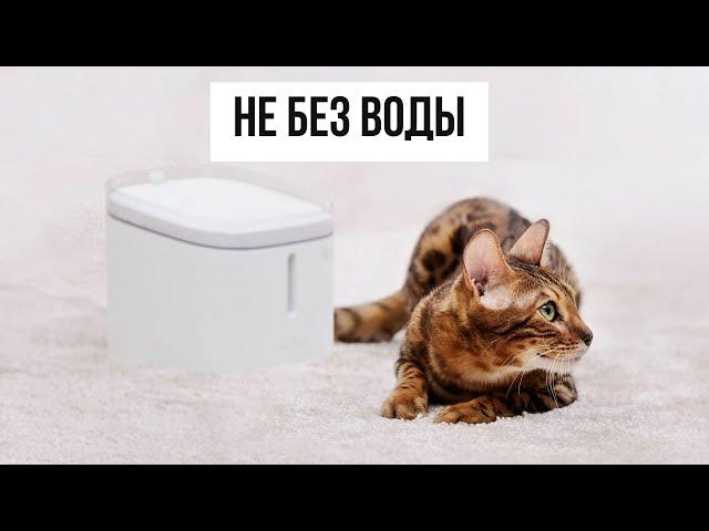 Революция в мире животных! Автопоилка для кошек и собак Mijia Smart Pet Water Dispenser XWWF01MG