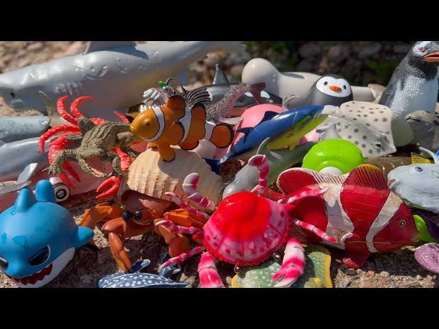 Toy Sea Animals Collection for Kids