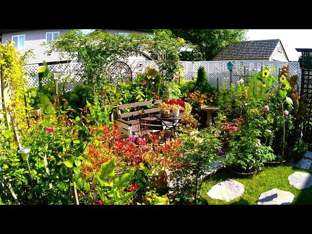 FALL IS HERE | Relaxing Tiny Backyard Garden Tour | Plants Flowers & Birds #garden #flowers #new