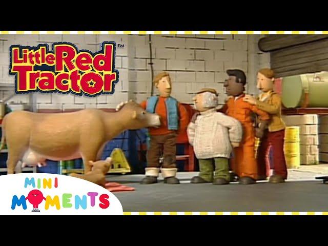 Little Red Tractor and the Baby Cow  | Little Red Tractor | Full Episodes | Mini Moments