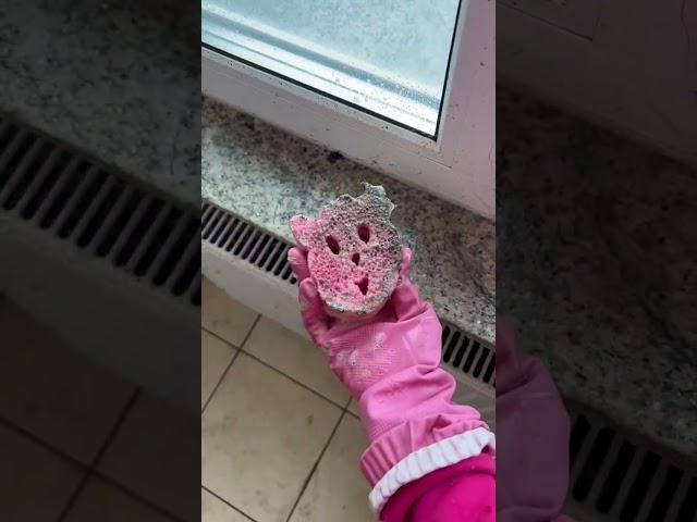 Cleaning in Germanny