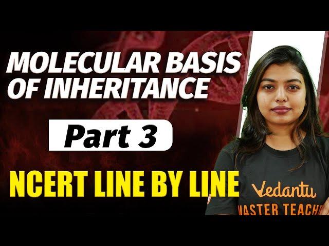 Molecular Basis Of Inheritance Part 3 | Class 11 Biology | NCERT Line By Line