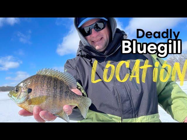 Deadly Bluegill Location | Find Big Bluegill