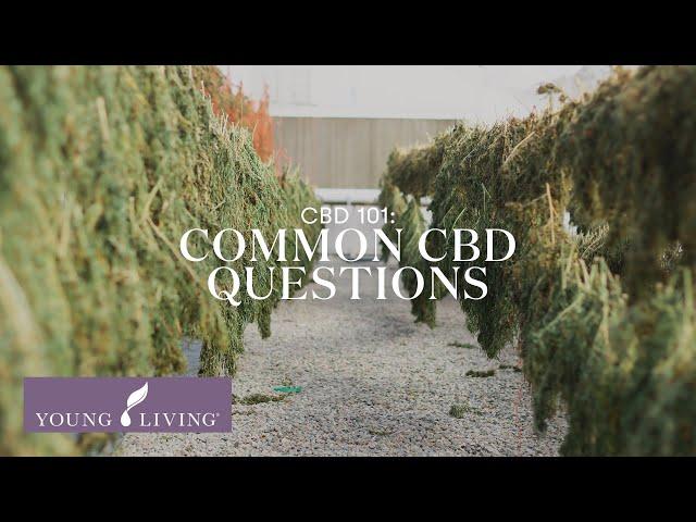 CBD 101: Most Common CBD Questions | Young Living Essential Oils