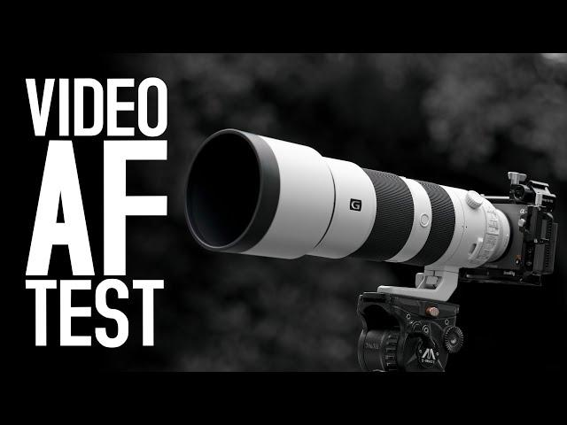 Sony 200-600mm F5,6-6,3 G OSS - Video Autofocus Test (FX3)