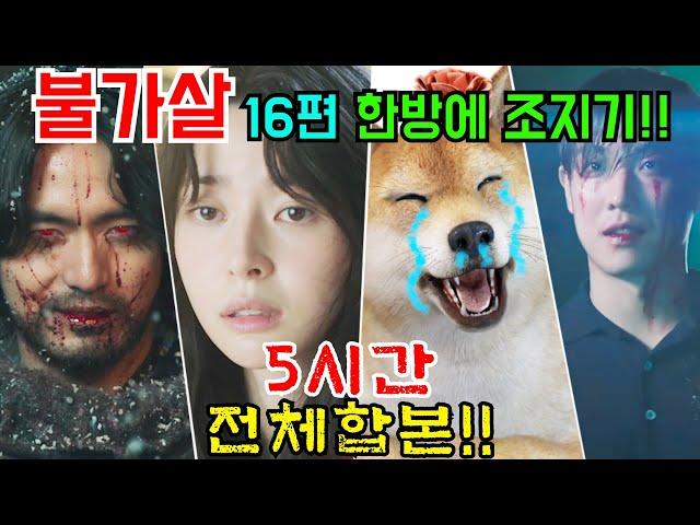 불가살 16편 짜리를 5시간만에..!! [구불가살 전편리뷰!]