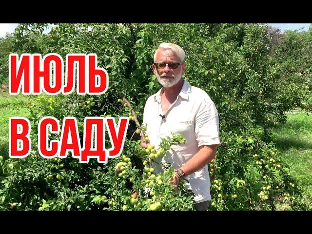 Garden work in July / Igor Bilevich