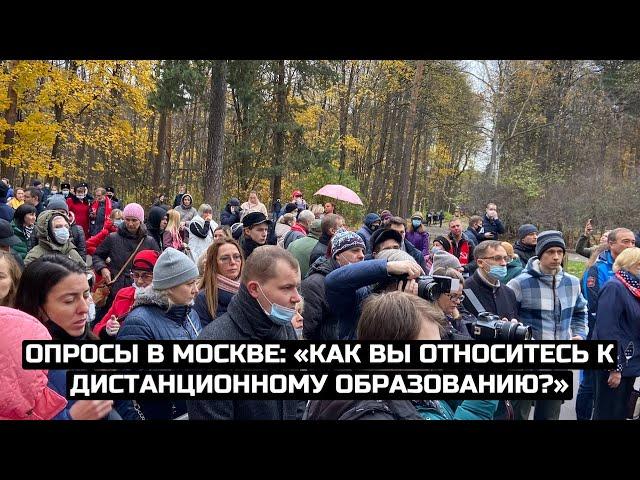 Опросы в Москве: «Как вы относитесь к дистанционному образованию?» / LIVE 13.11.20