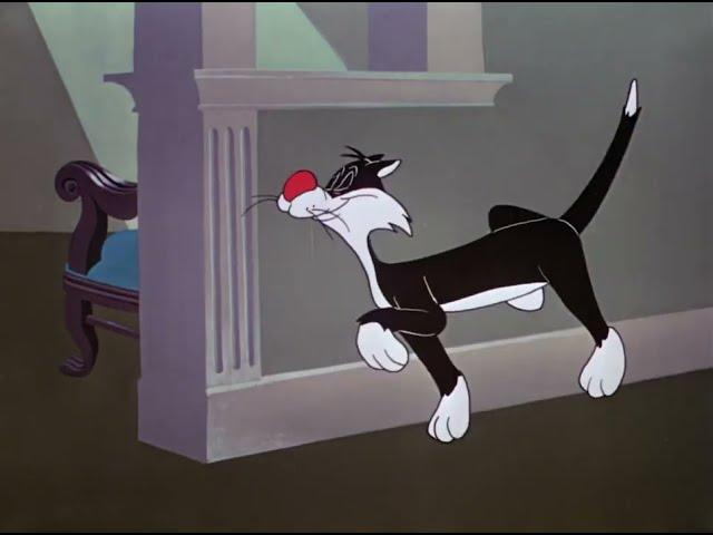 Sylvester - name of episode "Stooge for a Mouse"