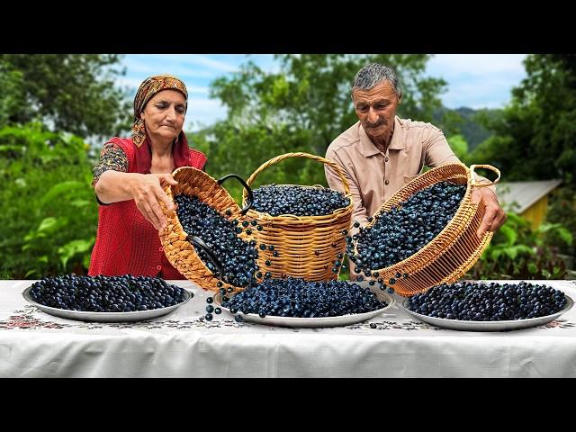 🫐 Blueberry Harvesting and Making Country Sweets for Winter!